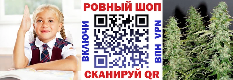 МЕФ Тверь