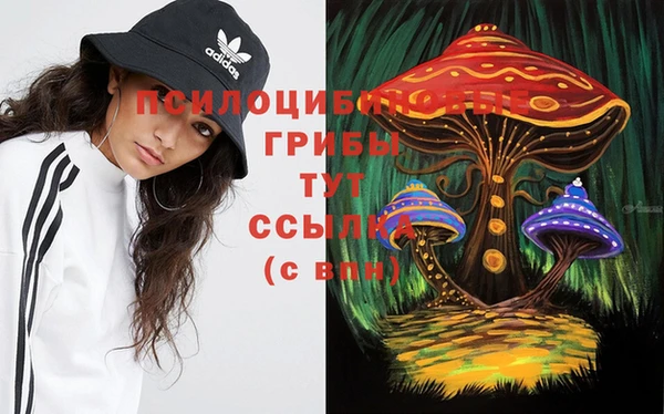 мдпв Переславль-Залесский