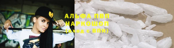 сатива Пересвет