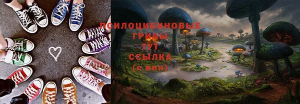 сатива Пересвет