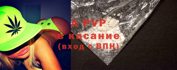 сатива Пересвет